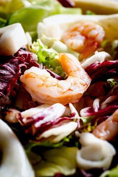 Detail of a shrimp in a seafood salad.