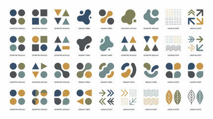 Fototapeta premium Abstract Geometric and Organic Shapes Collection for Modern Design