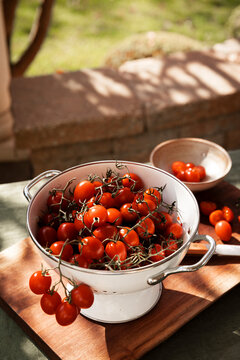 Fresh grape tomatoes on the vine in a colander outdoors