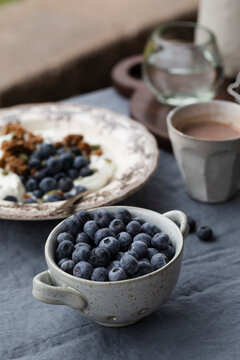 A Bowl of Blueberries yogurt and blueberries in the background