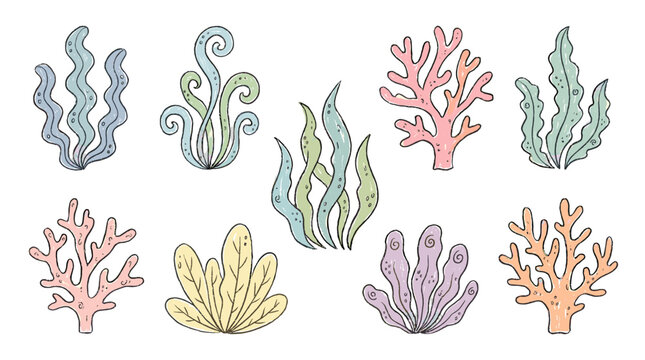 Hand drawn seaweed and coral icon set on white background