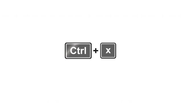 Animated Keyboard Shortcuts Ctrl C V X Z S. Looping Copy Paste Cut Undo Save Graphic on Alpha Channel.