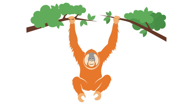 Orange monkey hanging from tree branch.