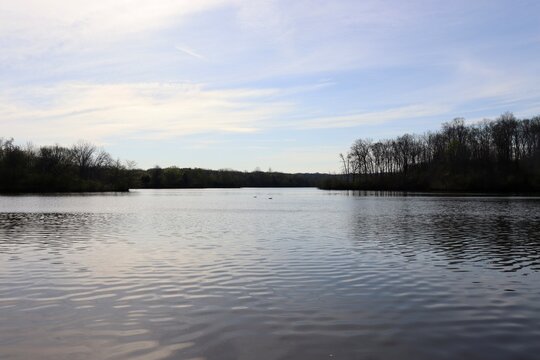 The peaceful lake in the park on a sunny morning.