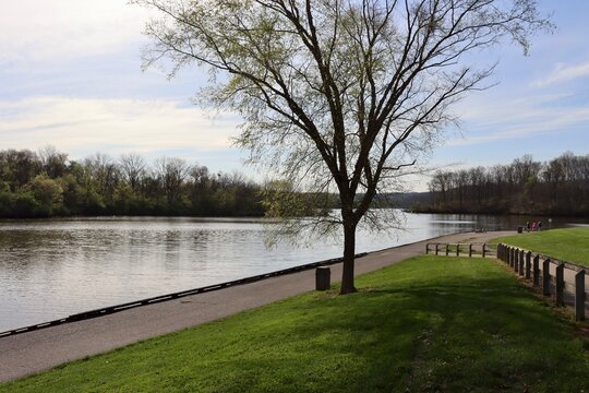 The calm lake in the park on a sunny day.