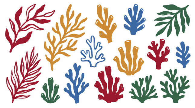 Abstract colorful coral and seaweed shapes isolated on white