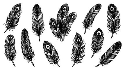 Hand drawn black feather collection with decorative ink details © Alan