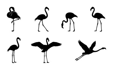 Obraz premium Flamingo Silhouettes: Elegant Bird Poses, Vector Graphics, Tropical Wildlife Collection