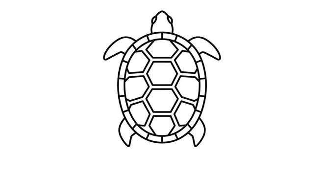 Minimalist line art illustration of a sea turtle, top view. Simple outline drawing of a marine animal with a hexagonal shell pattern.