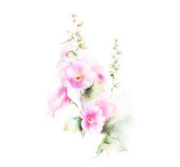 Fototapeta premium watercolor flowers with greenery and petals, watercolor illustration. Petunia, morning glory, and mallow. Velvet petunia with delicate inflorescences. Realistic floral clip art style. Garden plants f