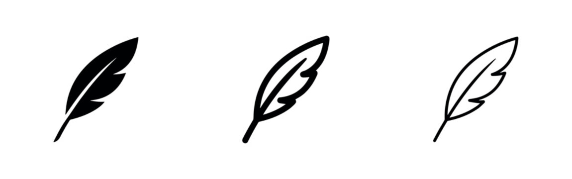Feather icon