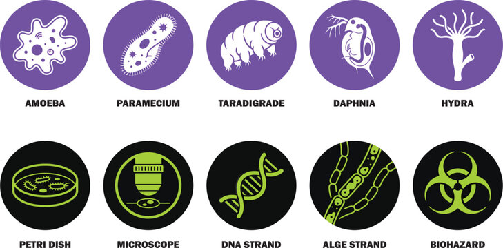 A set of ten colorful circular icons showcasing various microscopic organisms and laboratory equipment in a flat graphic design style.