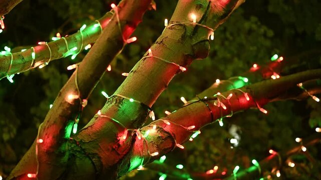 Festive string lights on tree branches with vibrant colorful bokeh