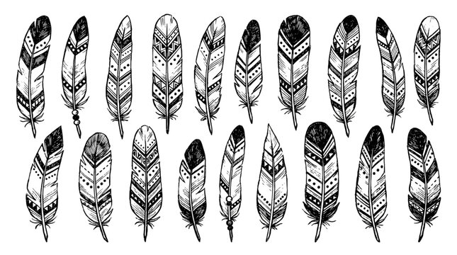 Hand drawn decorative feather set with black ornamental patterns