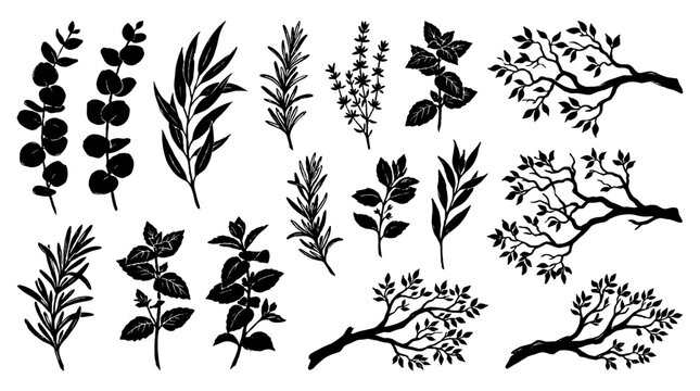 Hand drawn black botanical foliage and branch silhouette set