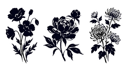 Hand drawn black floral set with poppy peony and chrysanthemum © Alan