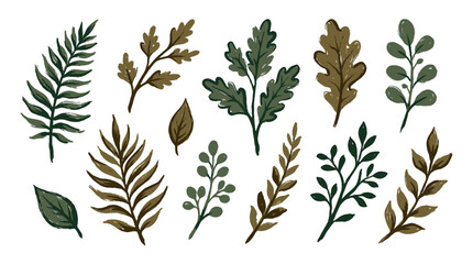 Hand drawn leaves and branches botanical vector collection © Alan