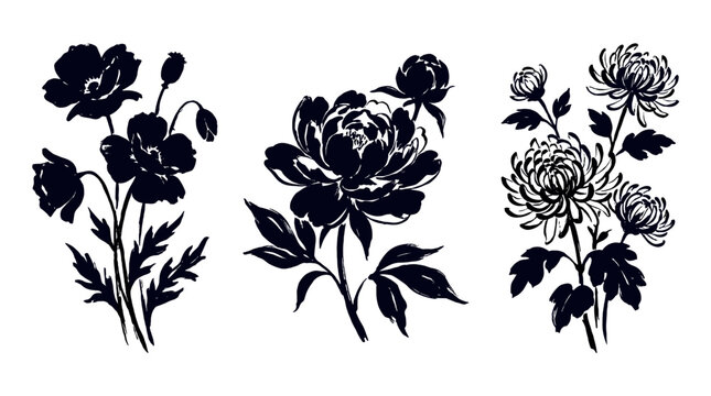 Hand drawn black floral set with poppy peony and chrysanthemum