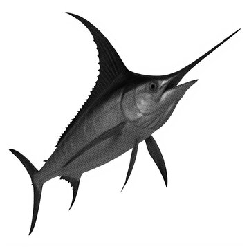 Swordfish illustration with halftone pattern on transparent background billfish marlin