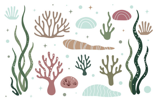 Set of algae and coral. Underwater world. Flat vector design. Isolated on a white background.