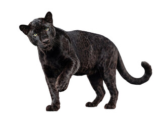 Realistic illustration of a majestic black panther with piercing green eyes. © Gail