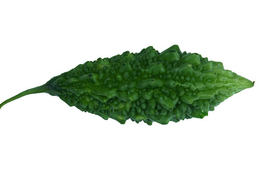 Green bitter gourd on png background presenting natural rough surface and shape.