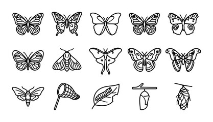 15 Butterfly and Moth Icons, Insect Vector Set, Nature Elements, Entomology Collection © Rahat
