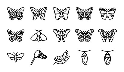 Butterfly Vector Icons, Insect Life Cycle Elements, Nature Graphics, Simple Outline Art © Sifat