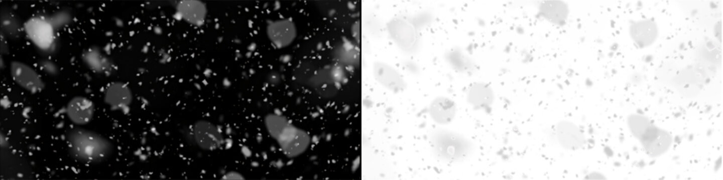 Natural white snow falling overlay effect with soft focus blurred particles isolated on transparent image canvas.