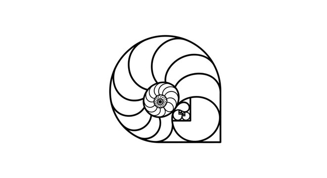 Golden Ratio Fibonacci spiral illustration. Nautilus shell inspired perfect geometric shape symbolizing divine proportion, math, nature.