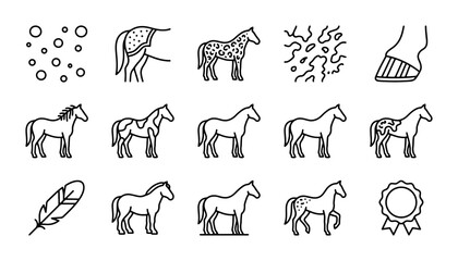 Horse Icon Set, Equine Vector Graphics, Animal Illustrations, Equestrian Symbols, Farm & Ranch Line Art © Rony