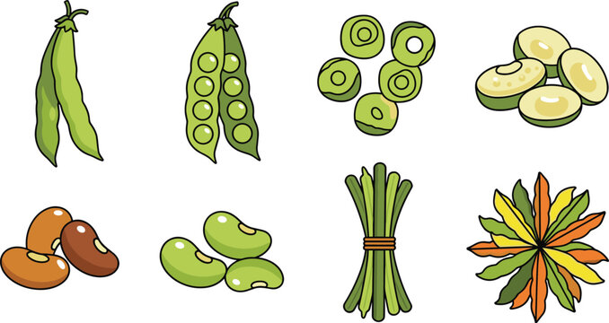 Colorful Fresh Bean and Legume Vegetable Icon Set with Pea Pod, Kidney Bean, Green Bean, and Sliced Vegetables for Healthy Food Designs