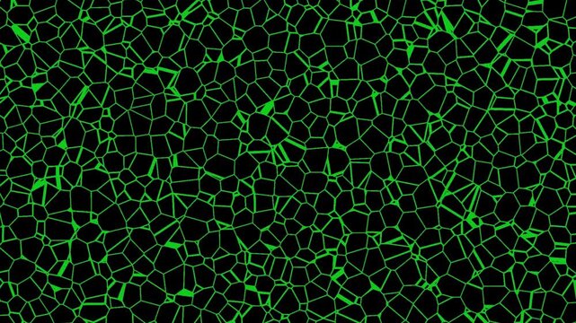 Green neon voronoi diagram animation, glowing organic cell structure background, abstract digital network grid loop for science and technology visuals