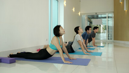 Obraz premium Group of people practicing upward facing dog yoga pose in bright home studio, stretching spine and opening chest to improve flexibility, posture and relaxation during guided wellness workout session