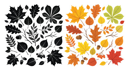 Autumn leaves vector set black silhouette and colorful flat illustration collection of fall foliage isolated on white background © VactorZone