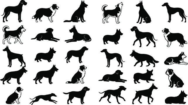  Dog breeds silhouette vector set with black shapes of different domestic puppies standing running and sitting isolated on white background