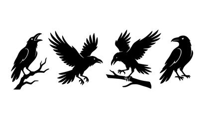 Fototapeta premium Black Crow Bird Silhouette Collection Vector Illustration Design