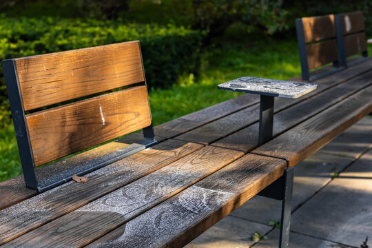 Tammsaare park in early autumn morning. Long wooden public bench with metal legs and small side tables covered with delicate white frost. Cold, clear weather with low warm sunlight.