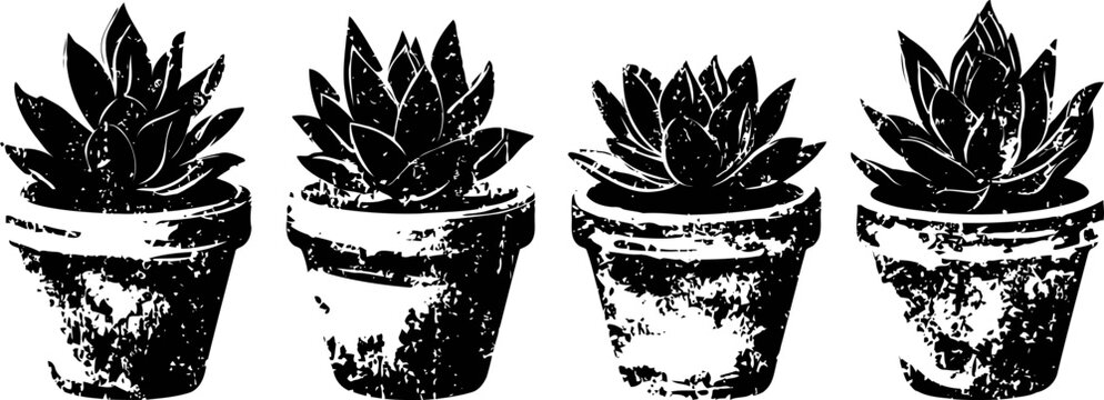Four black and white potted succulent plants in a row with distressed texture