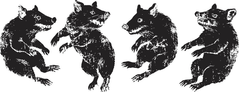 four black rats in various poses with textured rough grunge silhouettes on white background