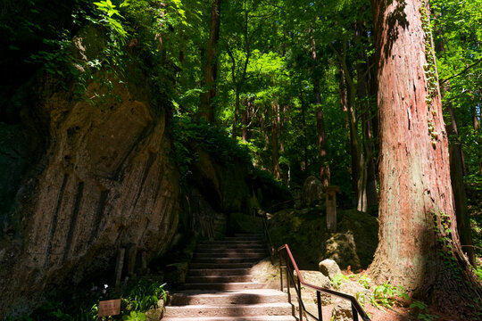 Japanese Zen -ism , Ancient Stone Statues at Old Japanese Temple in Fresh Green Forest, Spiritual Art