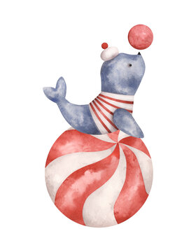 Circus. Watercolor hand-drawn illustration with circus seal-sailor on balloon whith ball. Cute circus theme drawings for kids. For design baby shower, birthday and nursery.