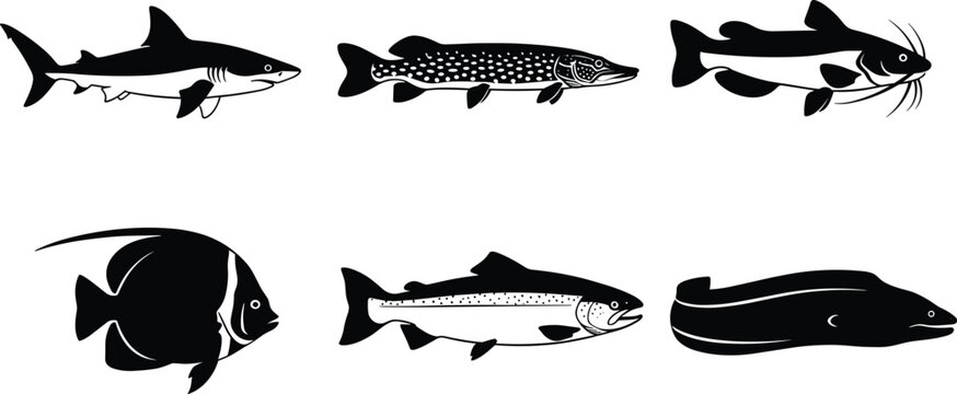 Minimalist black and white fish silhouettes collection featuring shark, pike, catfish, angelfish, salmon, and eel for aquatic wildlife vector design