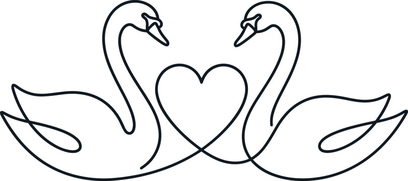 Continuous line drawing of two swans with a heart shape representing romantic love wedding anniversary and minimalist vector graphic illustration