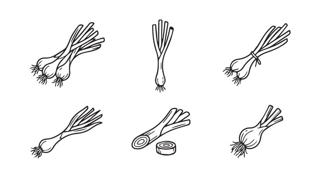 Set of green onion sketches with scallion vegetable handdrawn illustration ingredient nutrition culinary isolated collection botanical monochrome agriculture