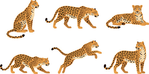 Obraz premium Leopard and Jaguar Wild Cat Vector Character Set in Various Poses Including Sitting Walking Jumping and Lying Down for Wildlife Designs