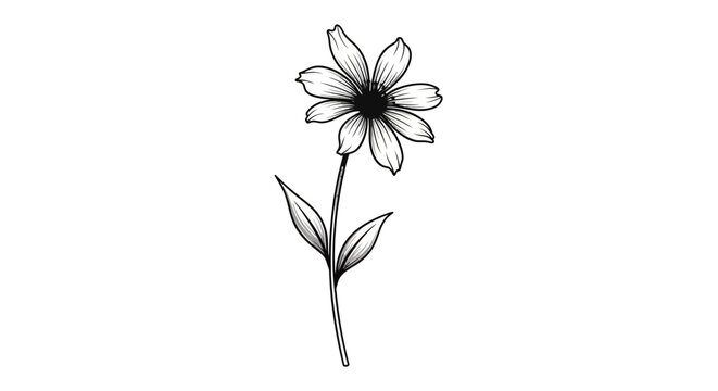 Elegant Black and White Daisy Flower Illustration
