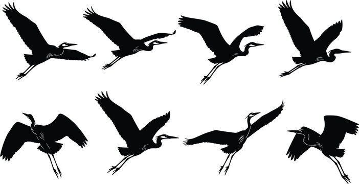 Silhouettes of cranes and herons in graceful flight, capturing wing positions, avian motion, and nature design inspiration for artistic wildlife projects