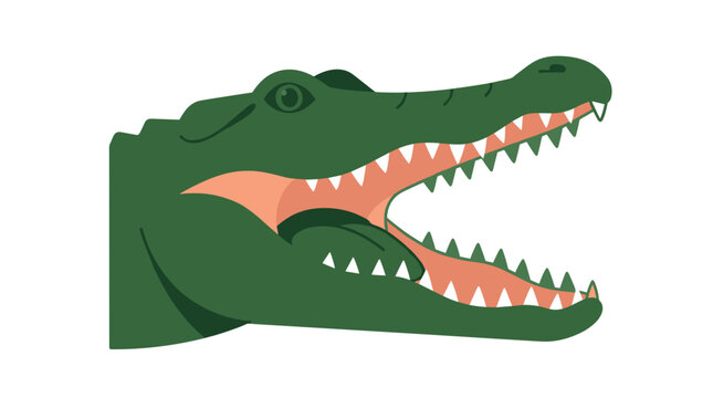 Green alligator head with mouth open showing sharp teeth and pink gums illustration PNG Isolated on transparent background