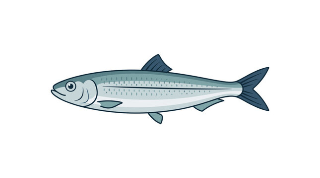 Illustration of a single herring fish with blue and silver scales swimming PNG Isolated on transparent background